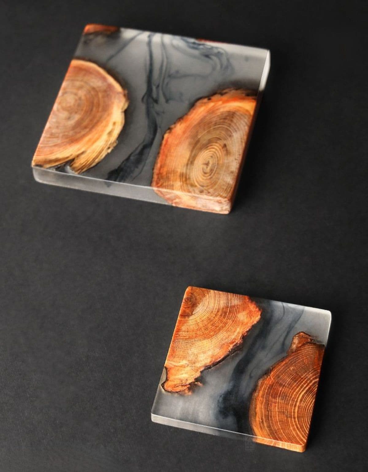 Wood Cross-Section Dark Epoxy Resin Coasters